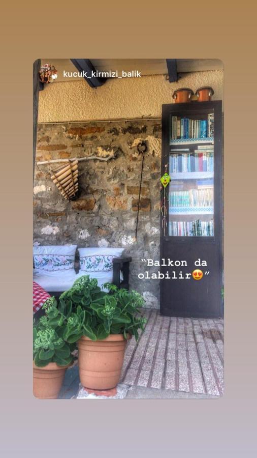 Hotel Dimitri Ada Evi & Restaurant à İmroz Extérieur photo