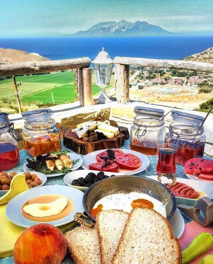 Hotel Dimitri Ada Evi & Restaurant à İmroz Extérieur photo